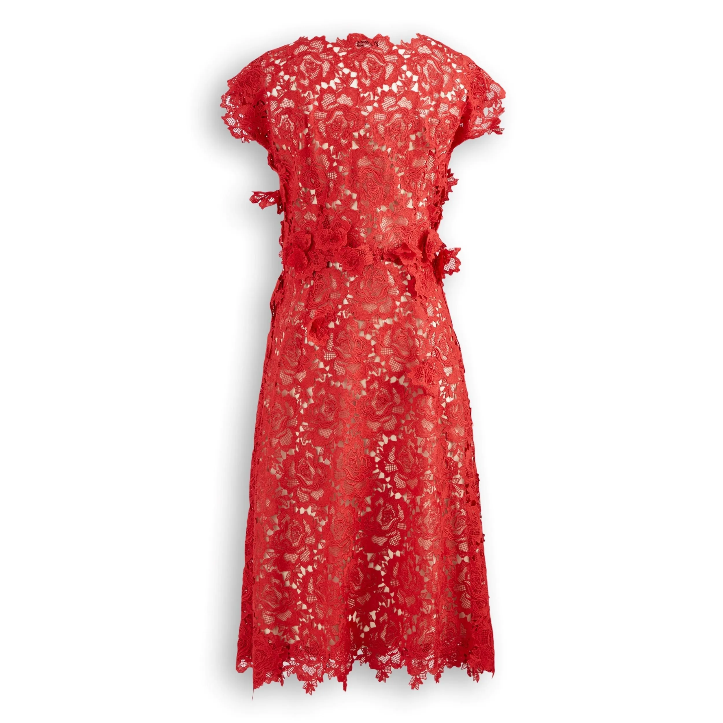 3D Flower Scalloped Edge Lace Dress